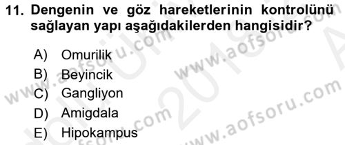 Psikoloji Dersi 2018 - 2019 Yılı (Vize) Ara Sınav Soruları 11. Soru