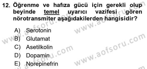 Psikoloji Dersi 2018 - 2019 Yılı (Vize) Ara Sınav Soruları 12. Soru