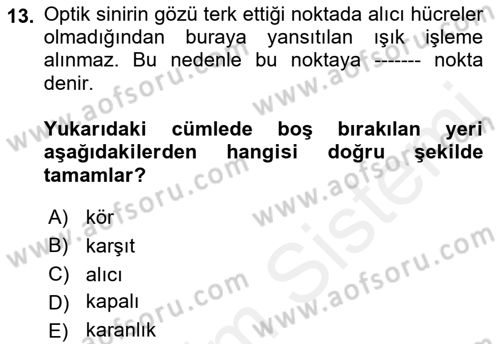 Psikoloji Dersi 2018 - 2019 Yılı (Vize) Ara Sınav Soruları 13. Soru