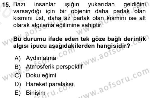 Psikoloji Dersi 2018 - 2019 Yılı (Vize) Ara Sınav Soruları 15. Soru
