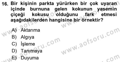 Psikoloji Dersi 2018 - 2019 Yılı (Vize) Ara Sınav Soruları 16. Soru