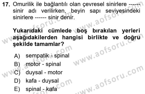 Psikoloji Dersi 2018 - 2019 Yılı (Vize) Ara Sınav Soruları 17. Soru