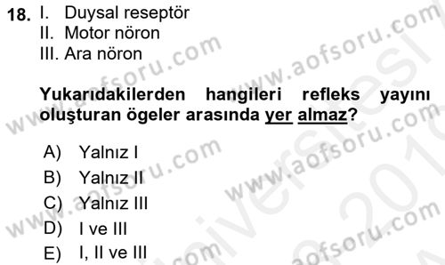 Psikoloji Dersi 2018 - 2019 Yılı (Vize) Ara Sınav Soruları 18. Soru