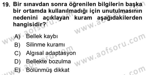Psikoloji Dersi 2018 - 2019 Yılı (Vize) Ara Sınav Soruları 19. Soru