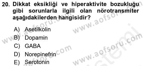 Psikoloji Dersi 2018 - 2019 Yılı (Vize) Ara Sınav Soruları 20. Soru