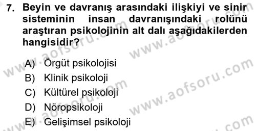 Psikoloji Dersi 2018 - 2019 Yılı (Vize) Ara Sınav Soruları 7. Soru