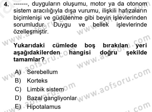Psikoloji Dersi 2018 - 2019 Yılı (Final) Dönem Sonu Sınav Soruları 4. Soru