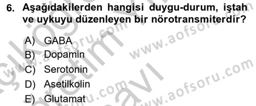Psikoloji Dersi 2018 - 2019 Yılı Yaz Okulu Sınav Soruları 6. Soru