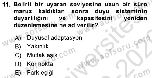 Psikoloji Dersi 2019 - 2020 Yılı (Vize) Ara Sınav Soruları 11. Soru