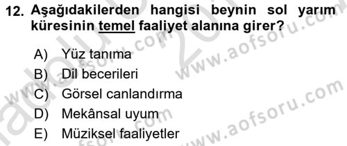 Psikoloji Dersi 2019 - 2020 Yılı (Vize) Ara Sınav Soruları 12. Soru