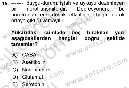 Psikoloji Dersi 2019 - 2020 Yılı (Vize) Ara Sınav Soruları 15. Soru
