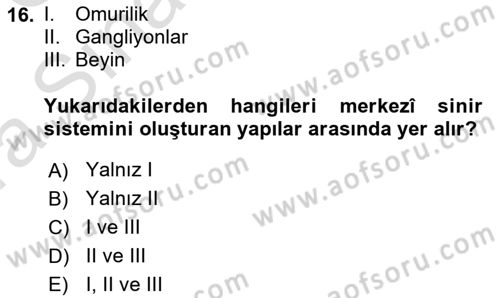 Psikoloji Dersi 2019 - 2020 Yılı (Vize) Ara Sınav Soruları 16. Soru