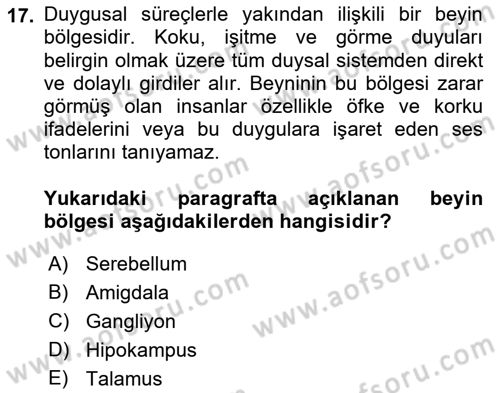 Psikoloji Dersi 2019 - 2020 Yılı (Vize) Ara Sınav Soruları 17. Soru