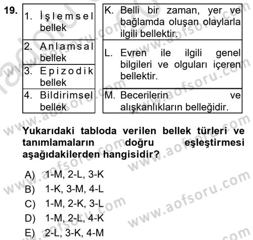 Psikoloji Dersi 2019 - 2020 Yılı (Vize) Ara Sınav Soruları 19. Soru