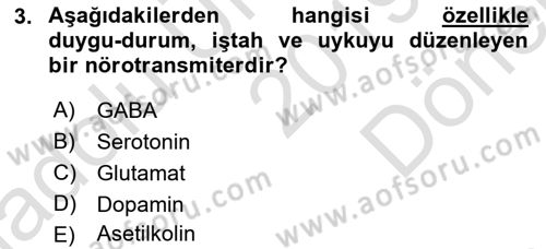 Psikoloji Dersi 2019 - 2020 Yılı (Final) Dönem Sonu Sınav Soruları 3. Soru