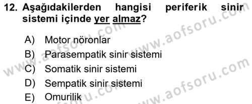 Psikoloji Dersi 2021 - 2022 Yılı (Vize) Ara Sınav Soruları 12. Soru
