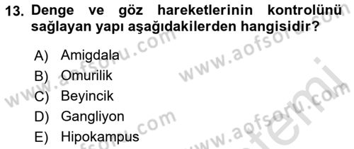 Psikoloji Dersi 2021 - 2022 Yılı (Vize) Ara Sınav Soruları 13. Soru