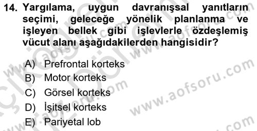 Psikoloji Dersi 2021 - 2022 Yılı (Vize) Ara Sınav Soruları 14. Soru