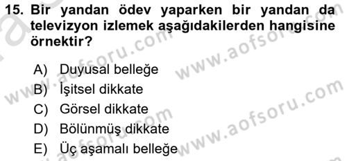 Psikoloji Dersi 2021 - 2022 Yılı (Vize) Ara Sınav Soruları 15. Soru