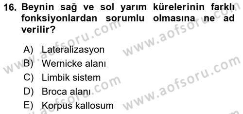 Psikoloji Dersi 2021 - 2022 Yılı (Vize) Ara Sınav Soruları 16. Soru