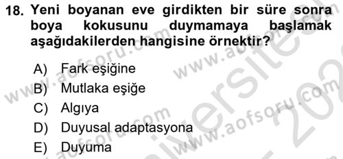 Psikoloji Dersi 2021 - 2022 Yılı (Vize) Ara Sınav Soruları 18. Soru