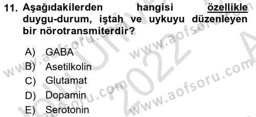 Psikoloji Dersi 2022 - 2023 Yılı (Vize) Ara Sınav Soruları 11. Soru