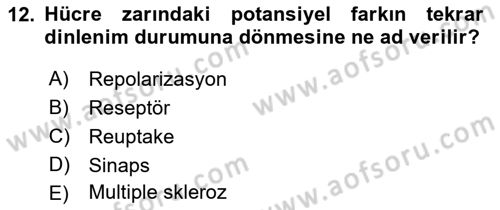 Psikoloji Dersi 2022 - 2023 Yılı (Vize) Ara Sınav Soruları 12. Soru