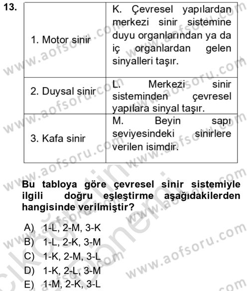 Psikoloji Dersi 2022 - 2023 Yılı (Vize) Ara Sınav Soruları 13. Soru