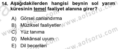 Psikoloji Dersi 2022 - 2023 Yılı (Vize) Ara Sınav Soruları 14. Soru