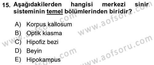 Psikoloji Dersi 2022 - 2023 Yılı (Vize) Ara Sınav Soruları 15. Soru