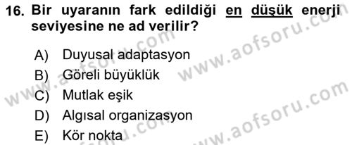 Psikoloji Dersi 2022 - 2023 Yılı (Vize) Ara Sınav Soruları 16. Soru