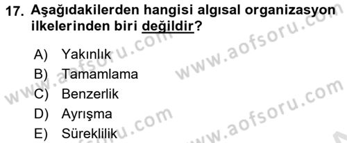 Psikoloji Dersi 2022 - 2023 Yılı (Vize) Ara Sınav Soruları 17. Soru