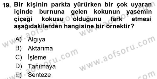 Psikoloji Dersi 2022 - 2023 Yılı (Vize) Ara Sınav Soruları 19. Soru
