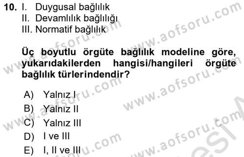 Psikoloji Dersi 2022 - 2023 Yılı (Final) Dönem Sonu Sınavı 10. Soru