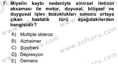 Psikoloji Dersi 2022 - 2023 Yılı Yaz Okulu Sınavı 7. Soru