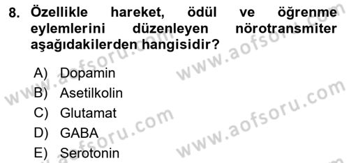 Psikoloji Dersi 2022 - 2023 Yılı Yaz Okulu Sınavı 8. Soru