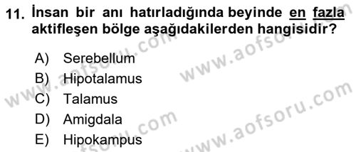 Psikoloji Dersi 2023 - 2024 Yılı (Vize) Ara Sınav Soruları 11. Soru