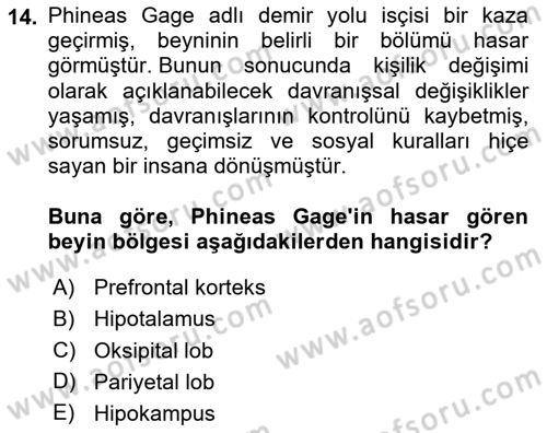 Psikoloji Dersi 2024 - 2025 Yılı (Vize) Ara Sınav Soruları 14. Soru