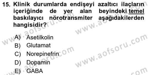 Psikoloji Dersi 2024 - 2025 Yılı (Vize) Ara Sınav Soruları 15. Soru