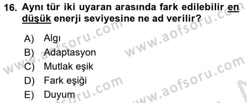 Psikoloji Dersi 2024 - 2025 Yılı (Vize) Ara Sınavı 16. Soru