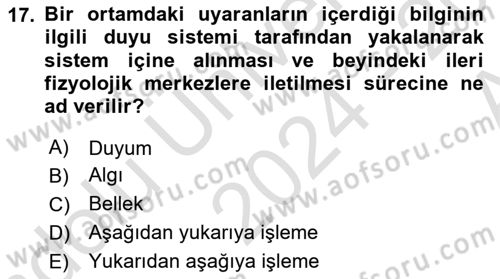 Psikoloji Dersi 2024 - 2025 Yılı (Vize) Ara Sınav Soruları 17. Soru