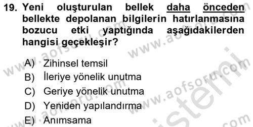 Psikoloji Dersi 2024 - 2025 Yılı (Vize) Ara Sınav Soruları 19. Soru