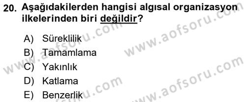 Psikoloji Dersi 2024 - 2025 Yılı (Vize) Ara Sınav Soruları 20. Soru