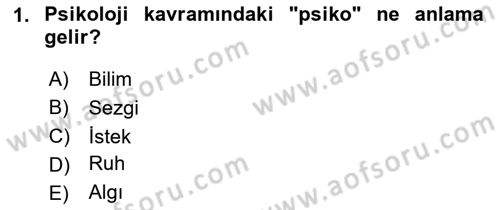 Psikoloji Dersi 2024 - 2025 Yılı (Final) Dönem Sonu Sınav Soruları 1. Soru