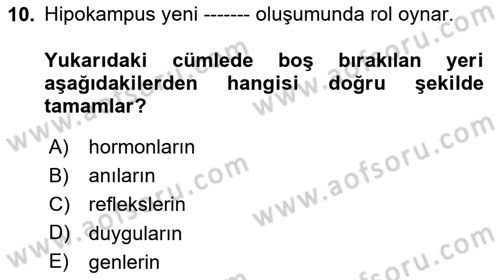 Psikoloji Dersi 2025 - 2026 Yılı (Vize) Ara Sınav Soruları 10. Soru