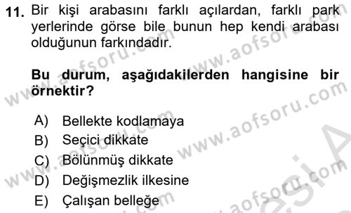 Psikoloji Dersi 2025 - 2026 Yılı (Vize) Ara Sınav Soruları 11. Soru