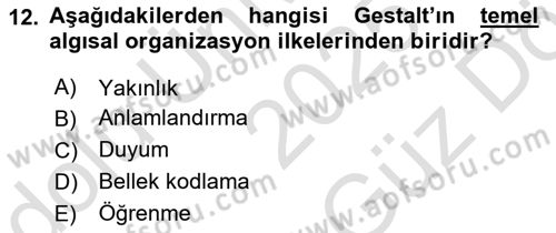 Psikoloji Dersi 2025 - 2026 Yılı (Vize) Ara Sınav Soruları 12. Soru
