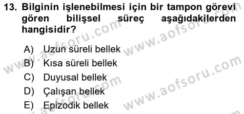 Psikoloji Dersi 2025 - 2026 Yılı (Vize) Ara Sınav Soruları 13. Soru