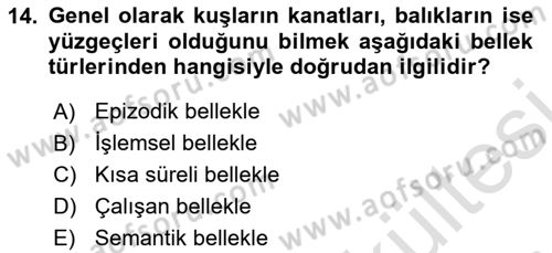 Psikoloji Dersi 2025 - 2026 Yılı (Vize) Ara Sınav Soruları 14. Soru