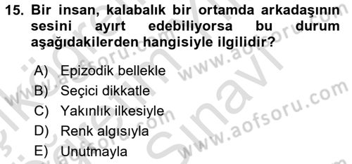 Psikoloji Dersi 2025 - 2026 Yılı (Vize) Ara Sınav Soruları 15. Soru